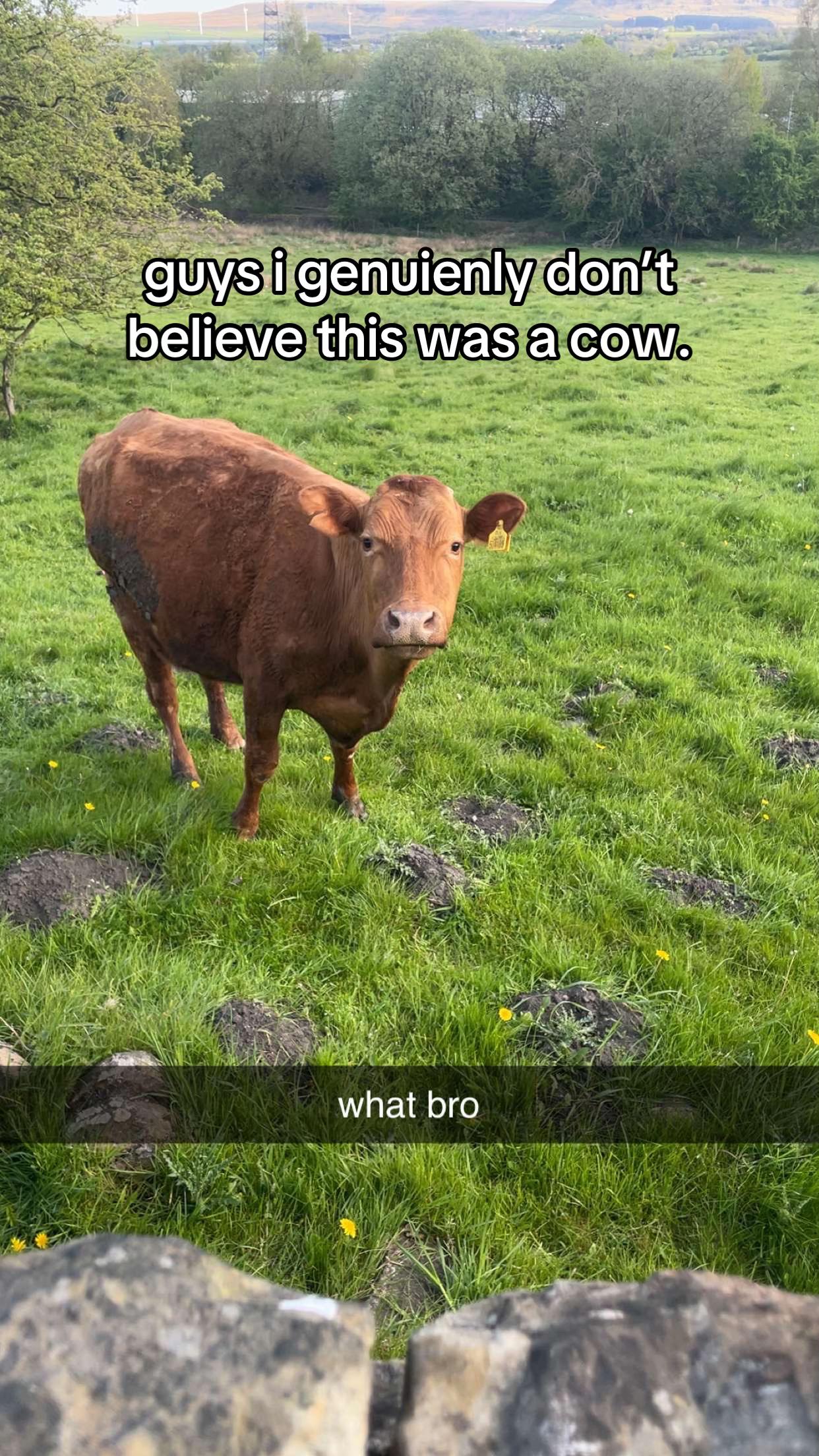 @emma :)