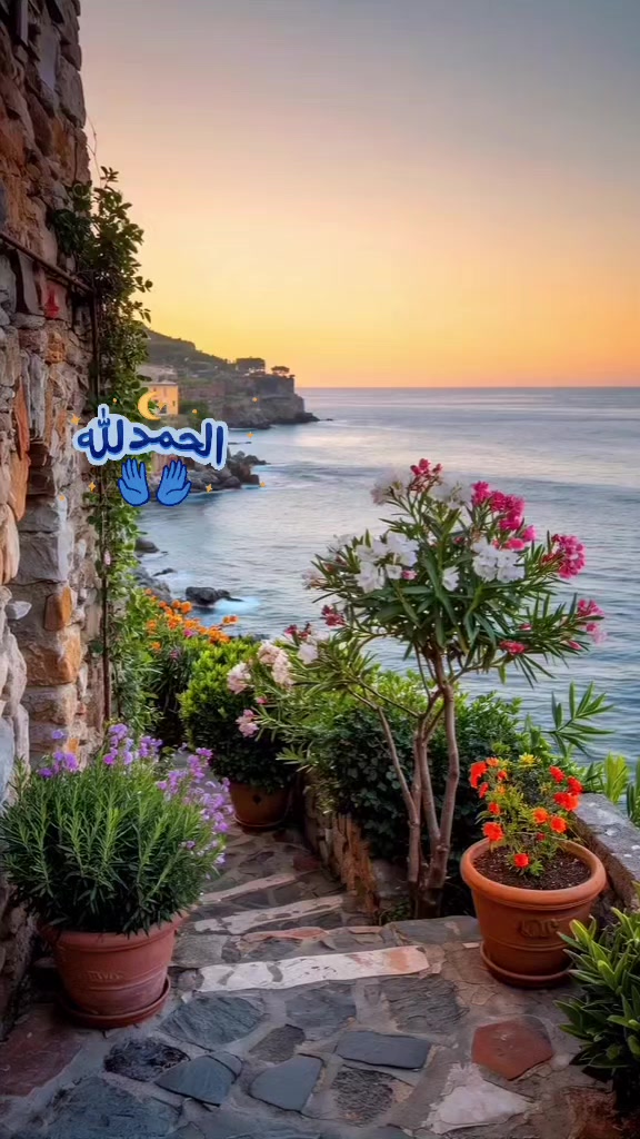 @Zeenath