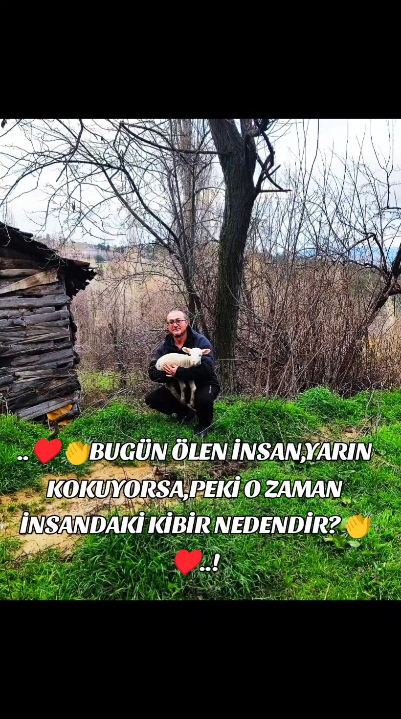 @Mehmet &Ouml;zer