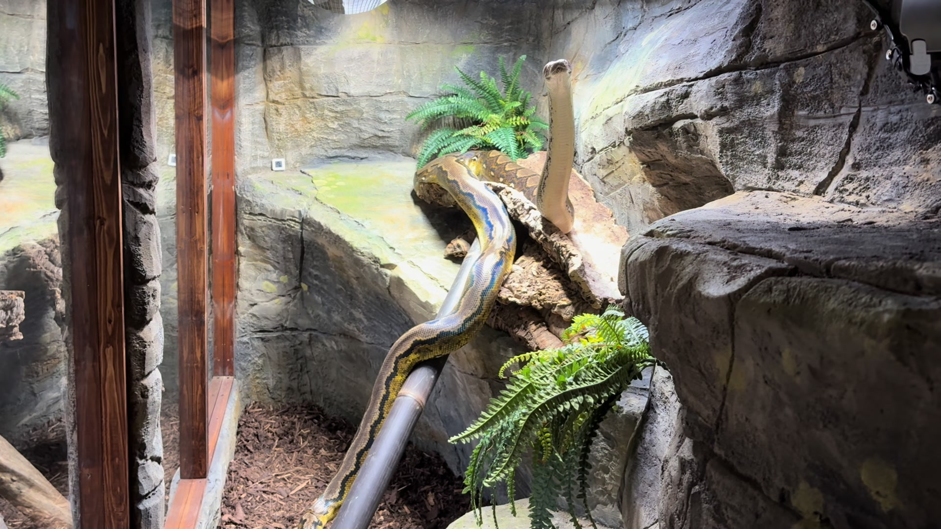 @SonnyCherRetics