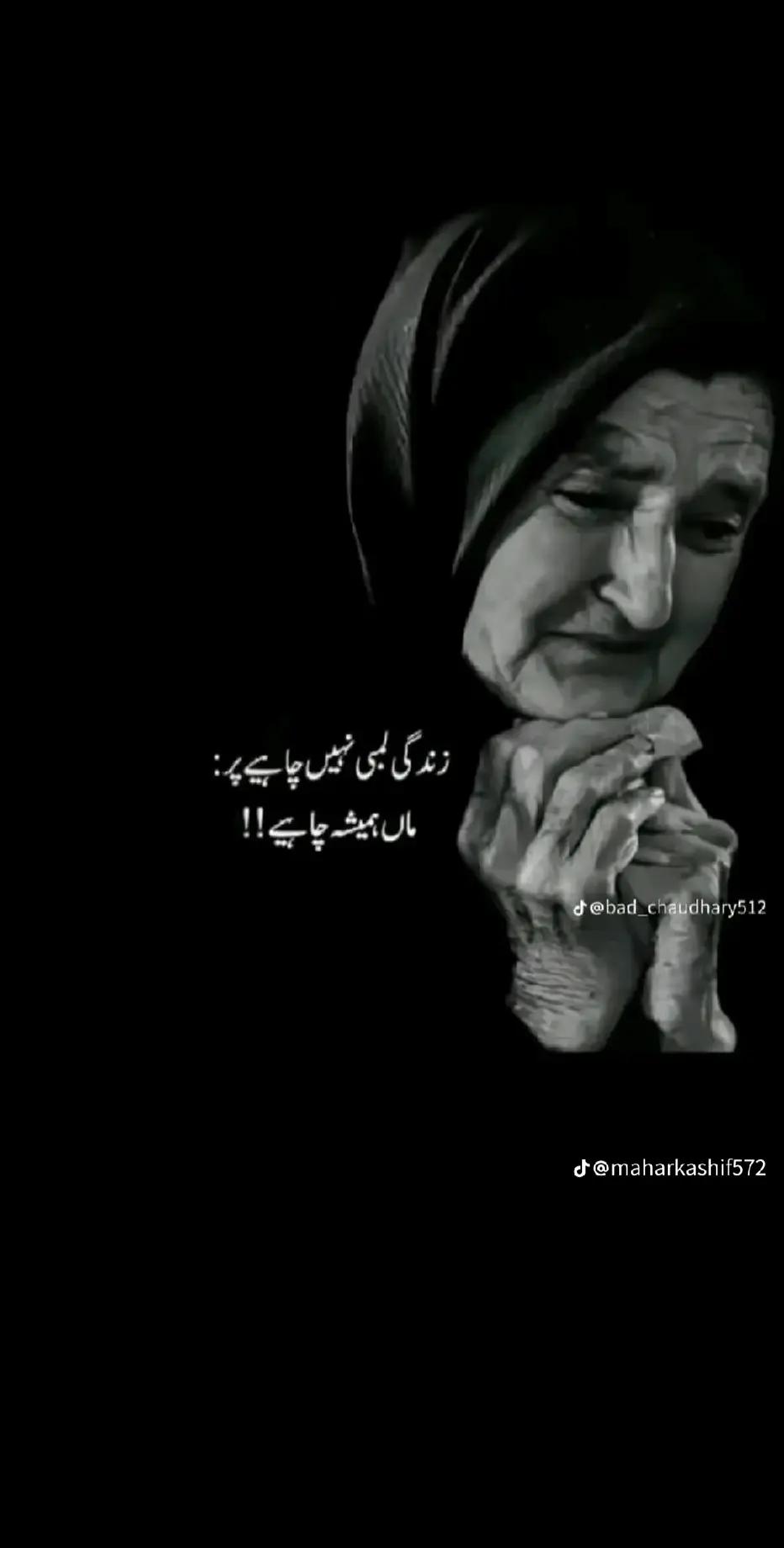 @amiriqbal1103