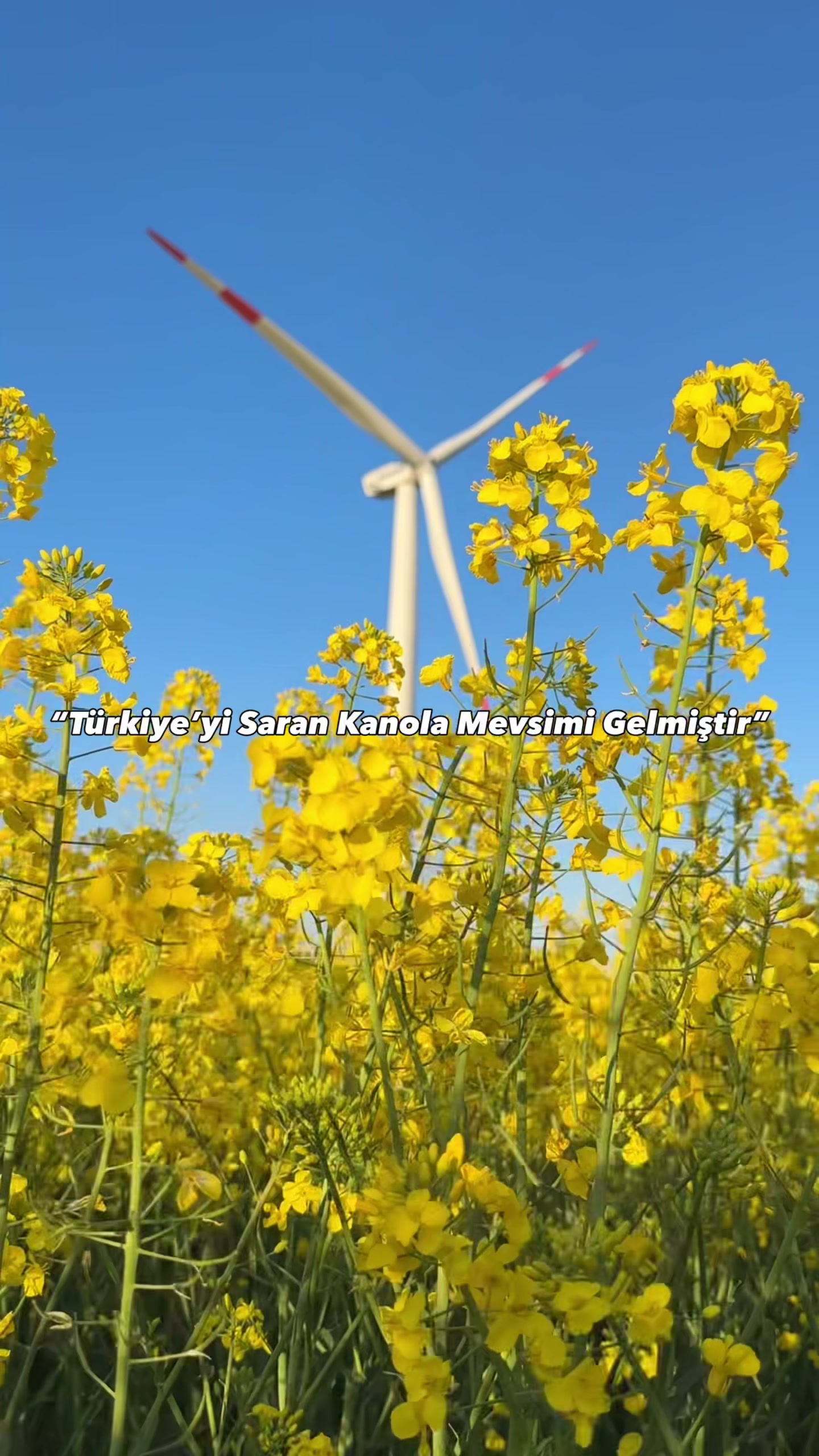 @urfagezilecekyerler