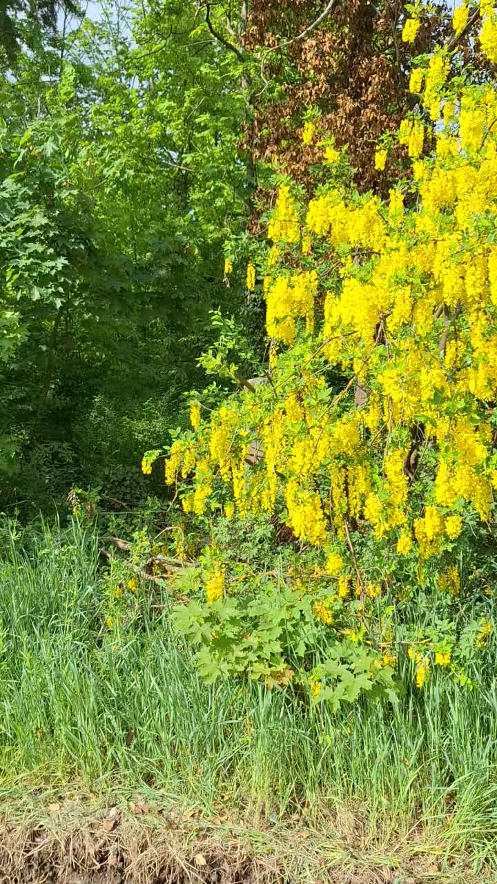 @Natur und Garten
