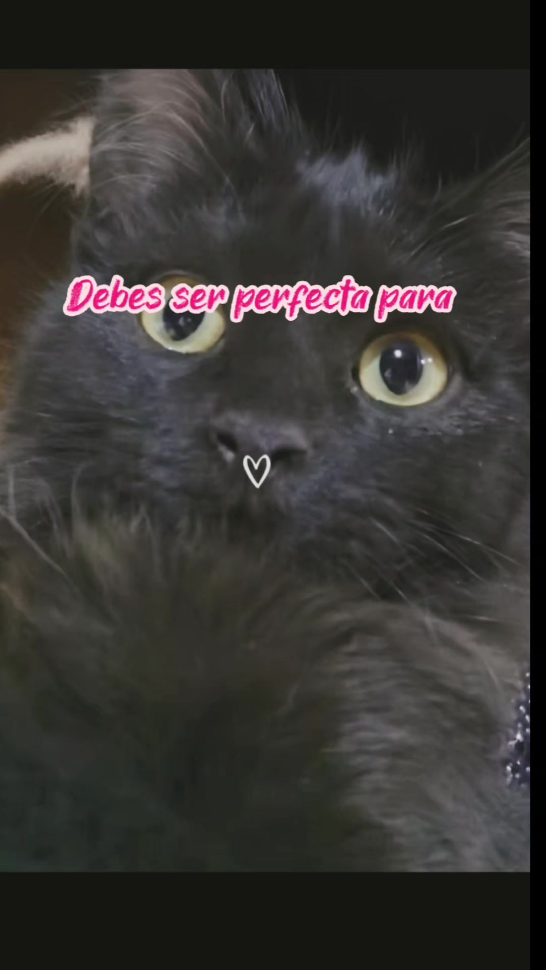 @AIRI