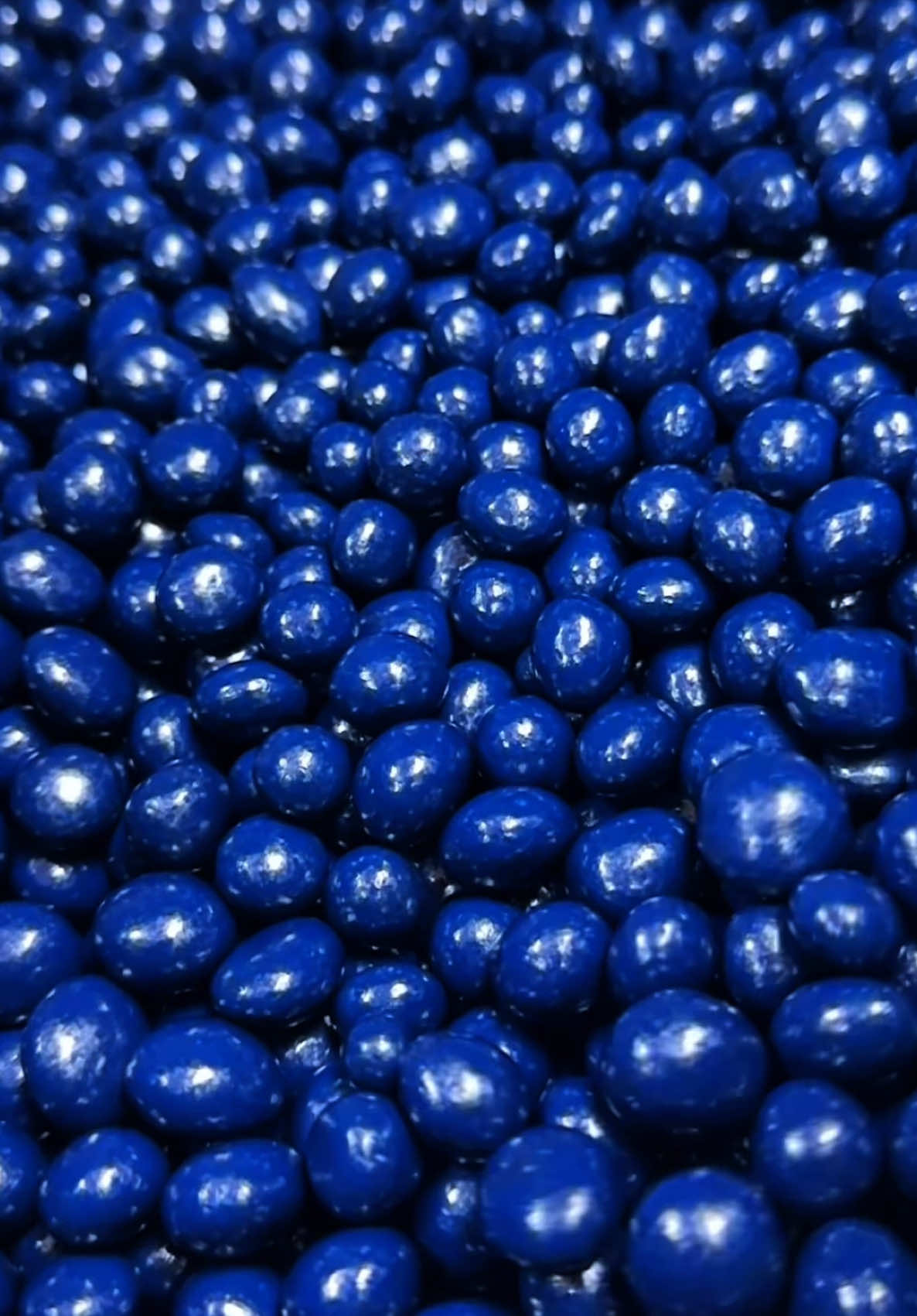 @Jean-Marie Auboine Chocolatier