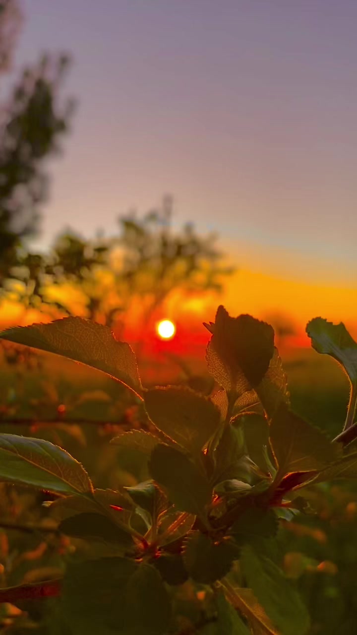 @ahmett_6334☀️