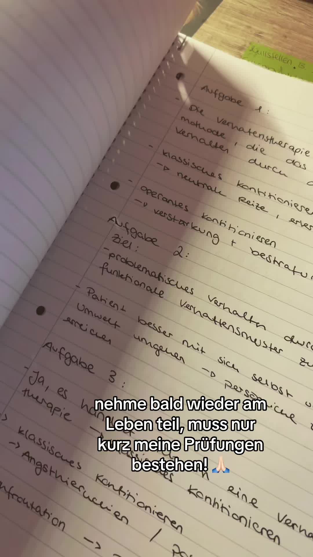 @StudyVibesOnly