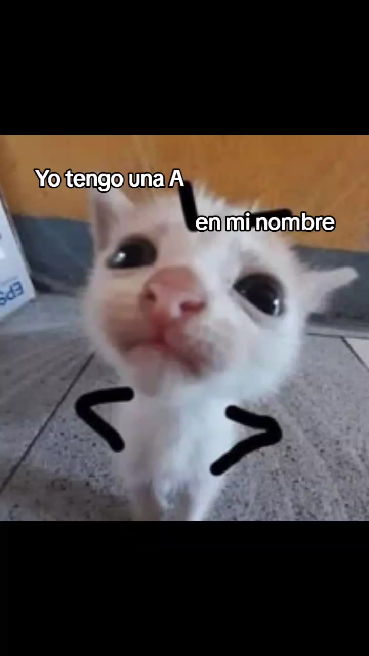 @uniz