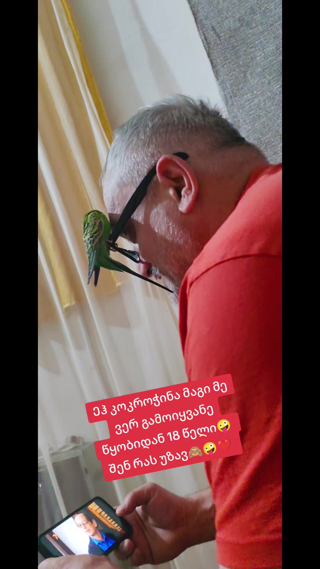 @🐞ნ10ა🐞