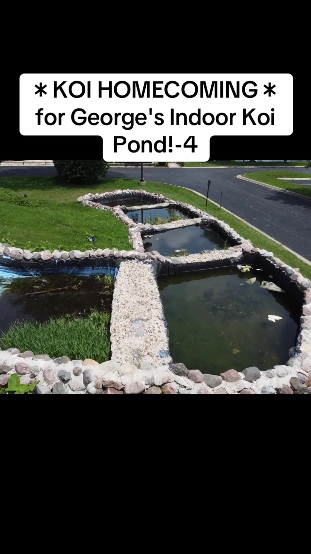 @user2229180201810