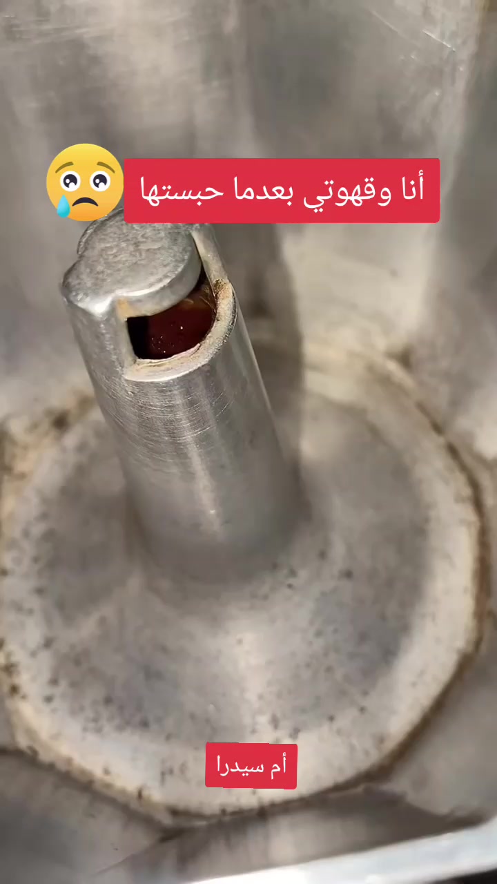 @سيدرا محرز