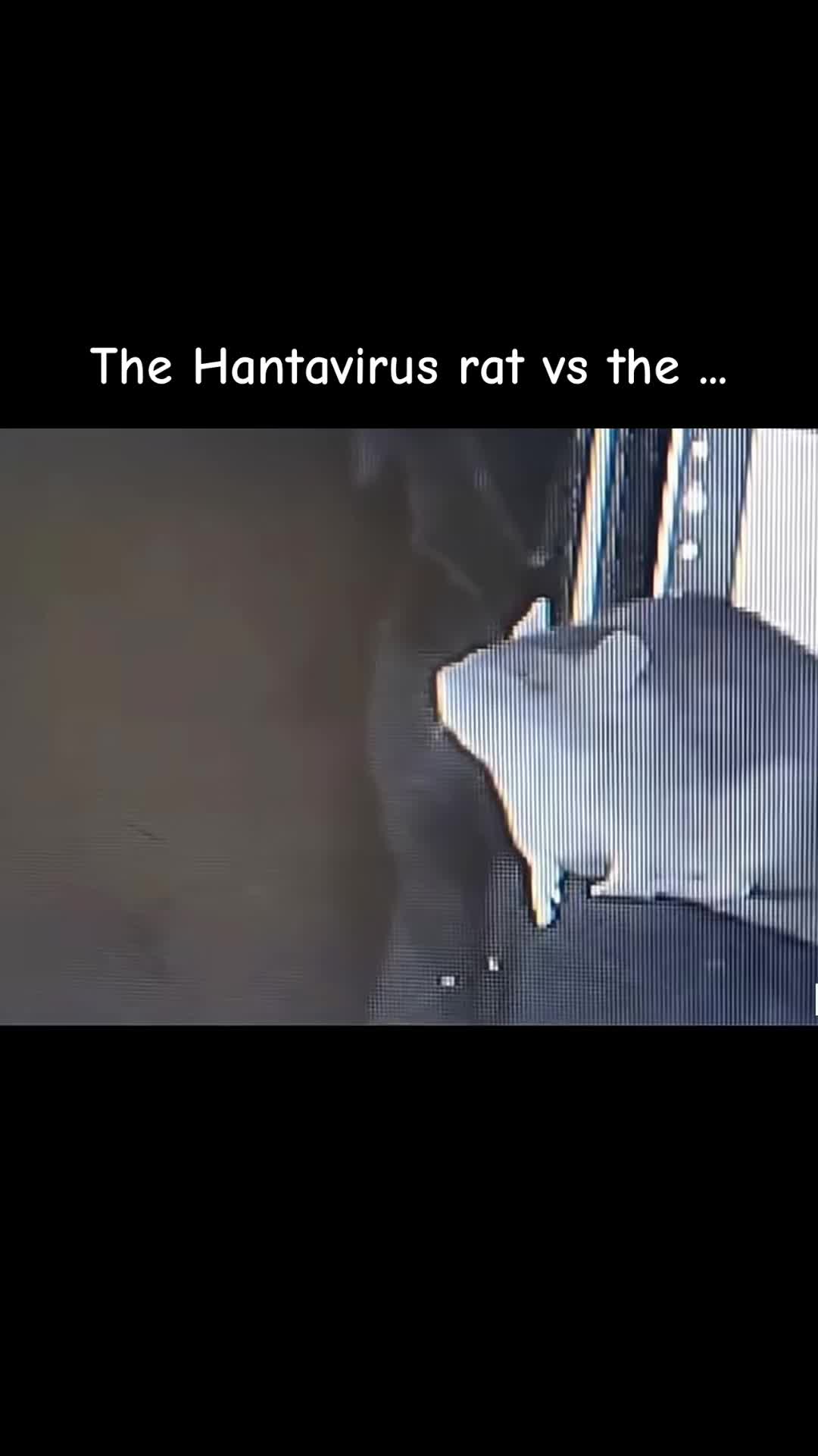 @honesthumor1