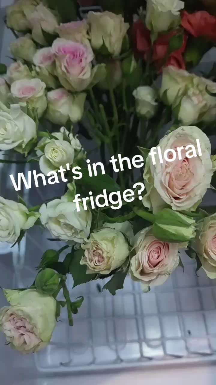 @Audrey