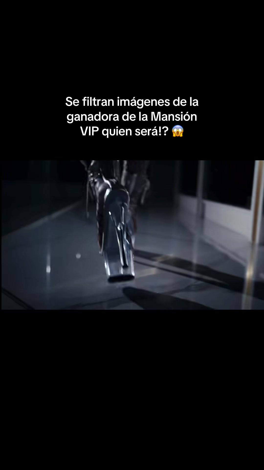 @Team sol leon