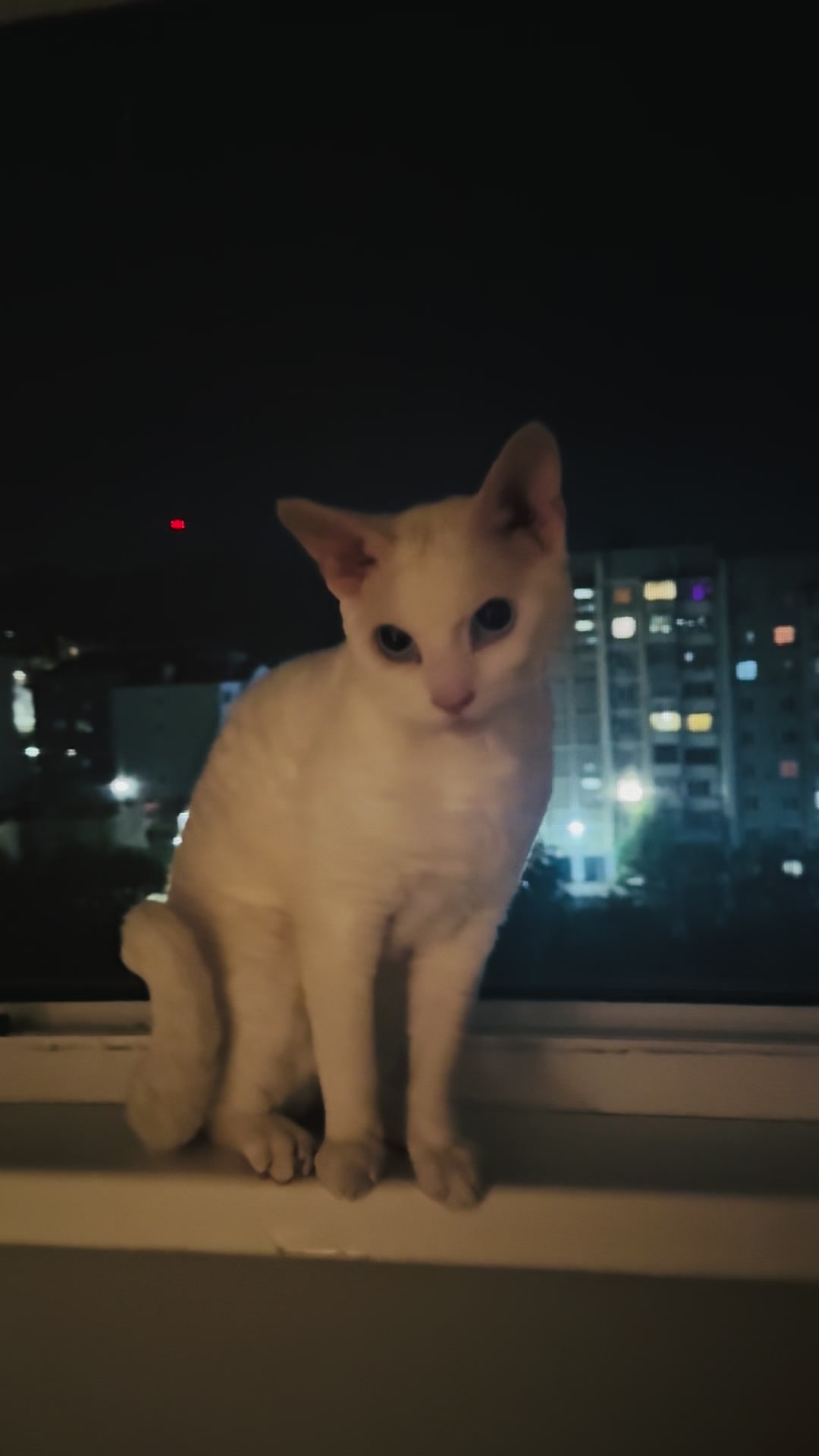 @Лев 🦁 Скавронский❤️