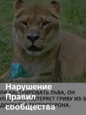 @qwerty№33