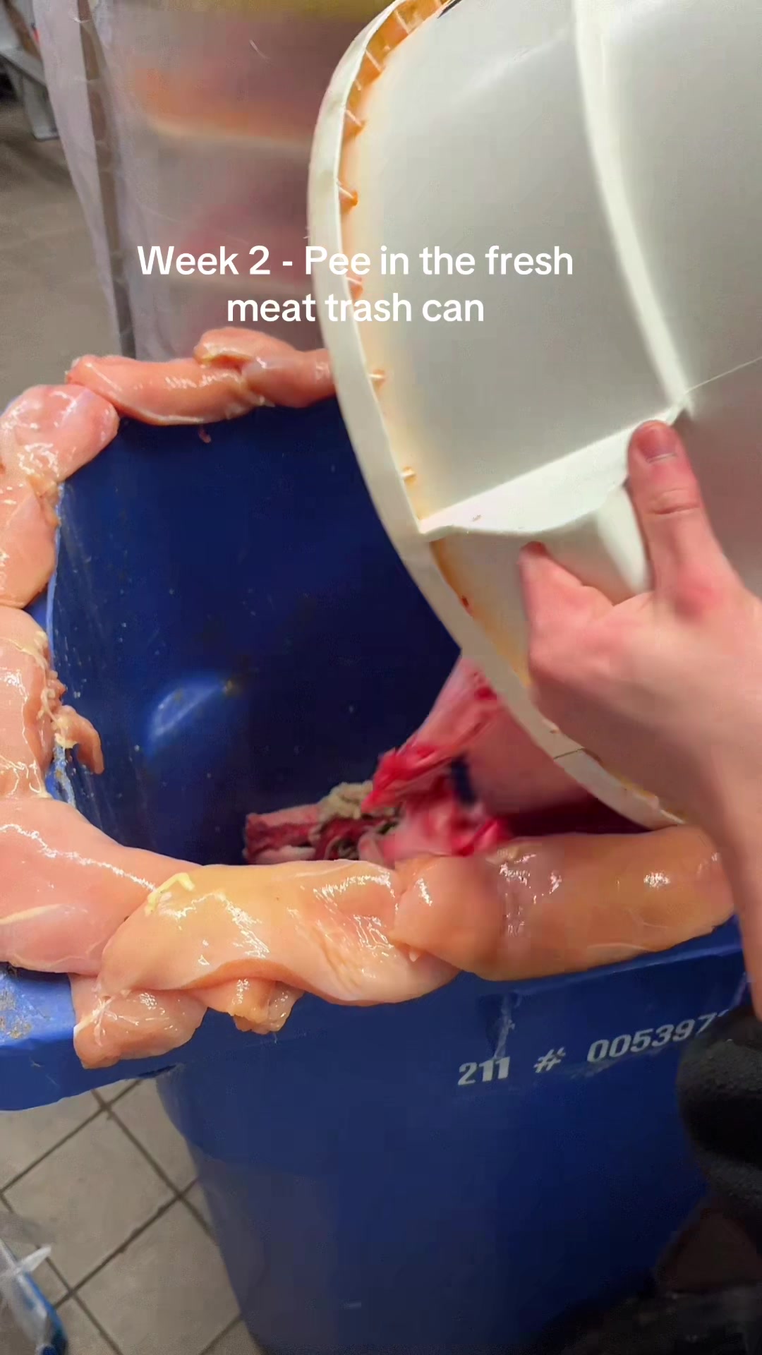 @ThePeeMaster