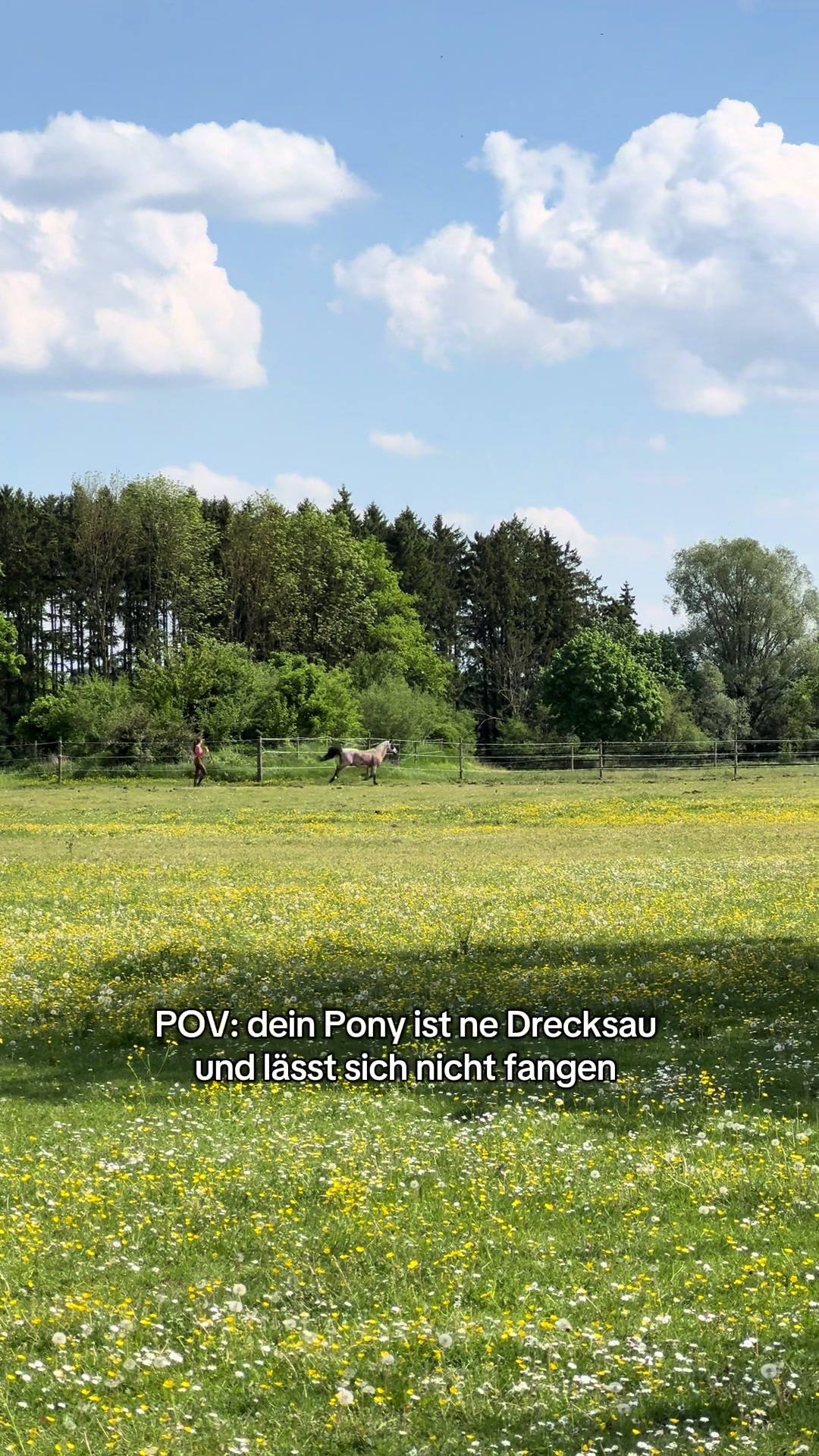 @Sally und die Jungs 💙🩷🤎