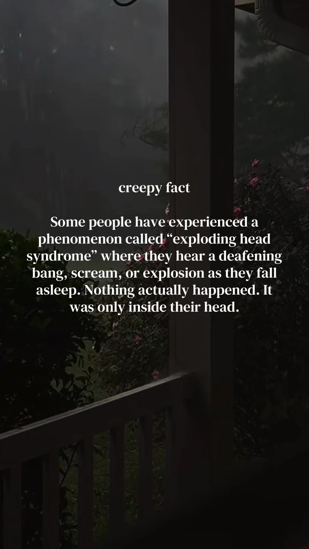 @𝔠𝔬𝔠𝔬 𝔯𝔬𝔞