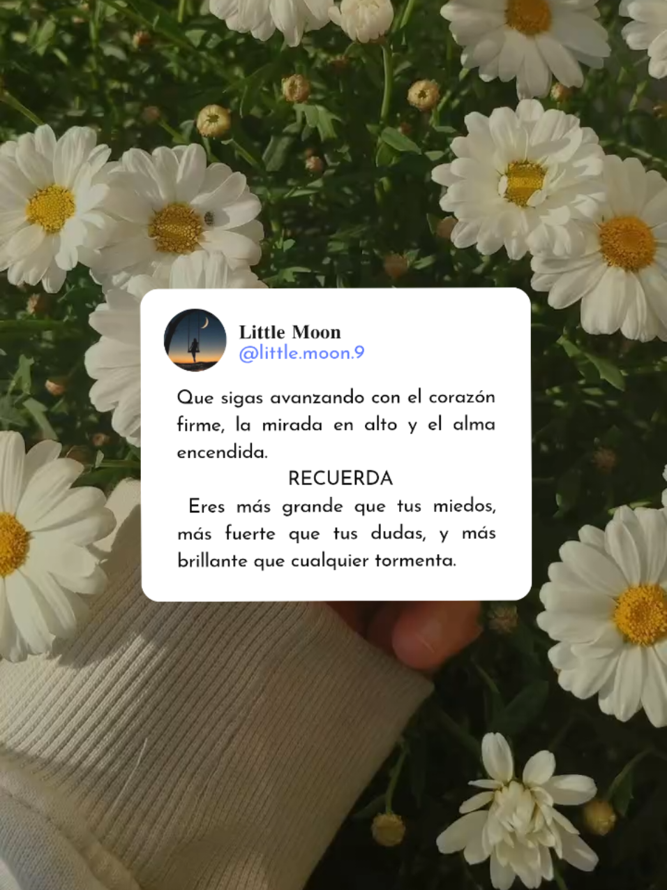 @𝐋𝐢𝐭𝐭𝐥𝐞 𝐌𝐨𝐨𝐧