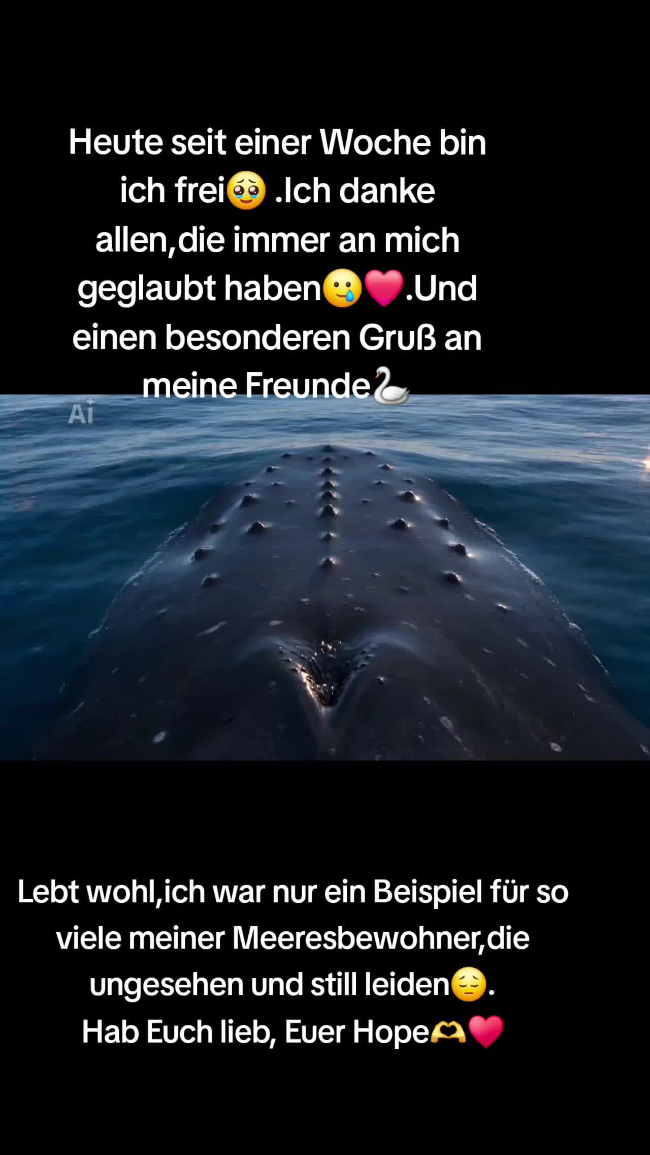 @ibrabo♡🐈&zwj;⬛🫶💞