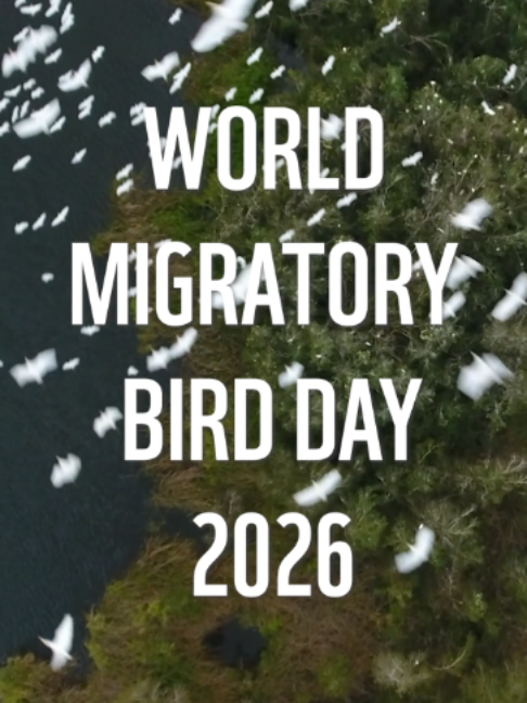 @WWF Sweden Youth