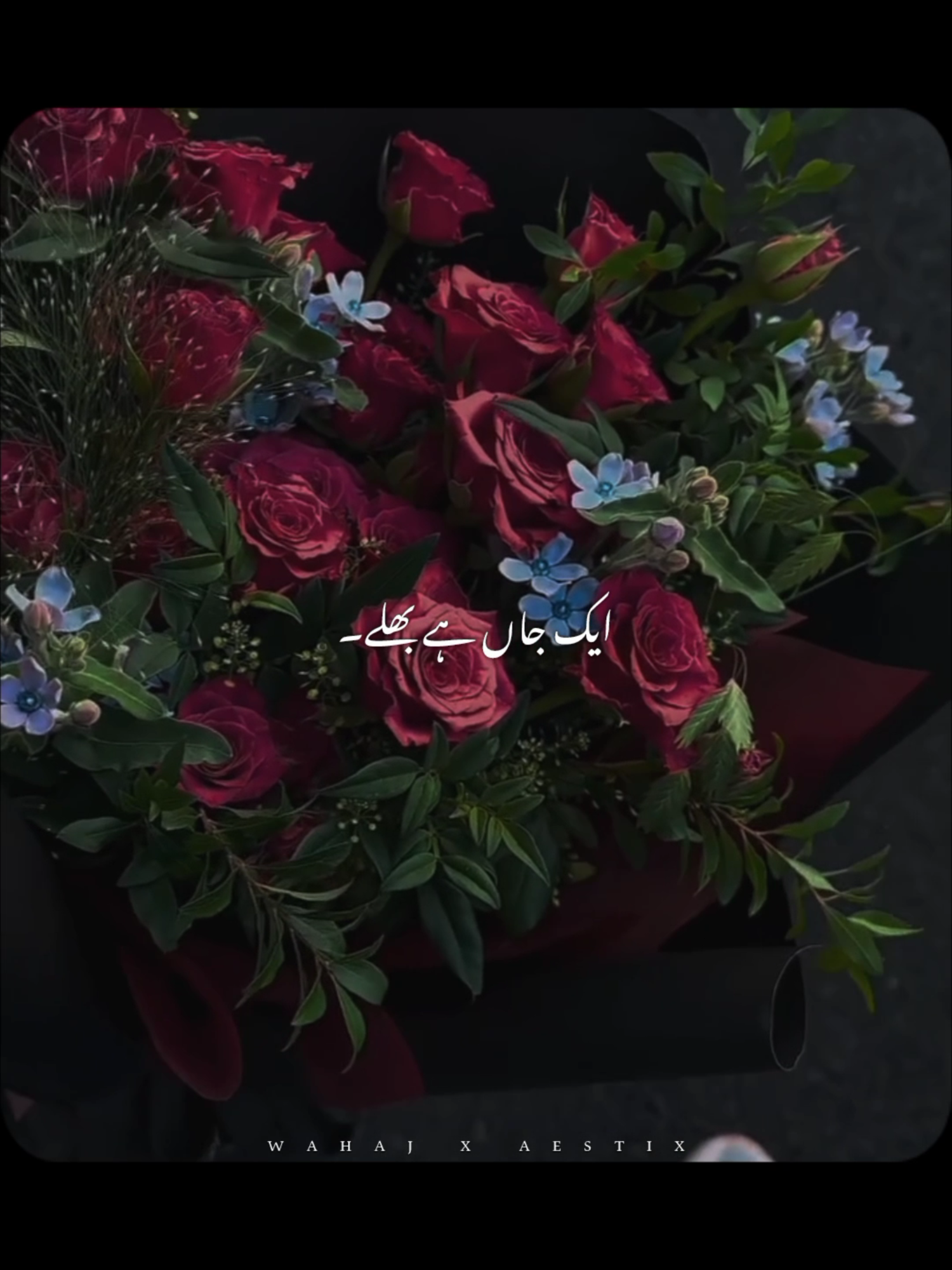 @𝙒 𝘼 𝙃 𝘼 𝙅 🕊️ &bull;