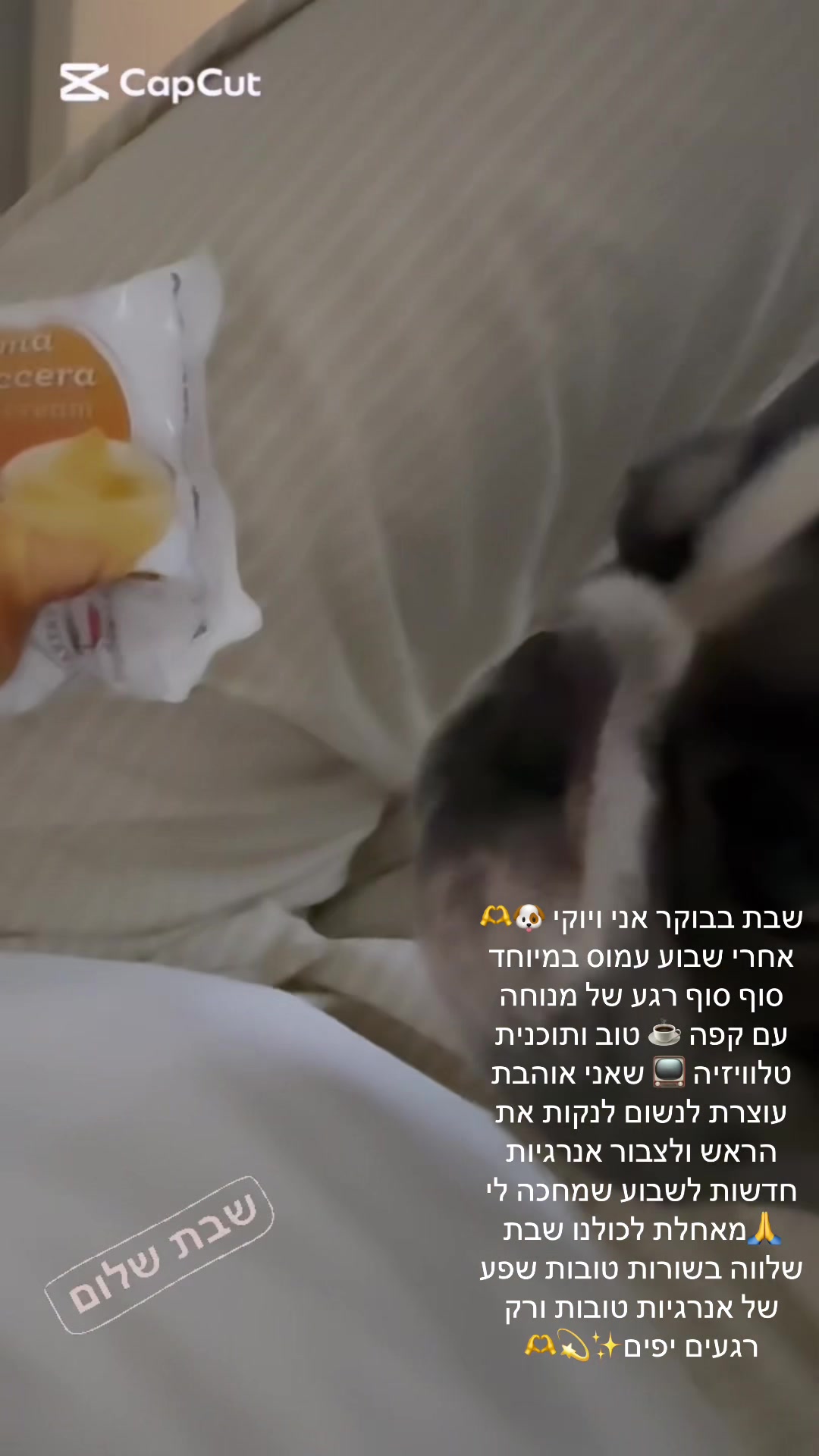 @סטיילינג/ שופרית /הום סטיילינג