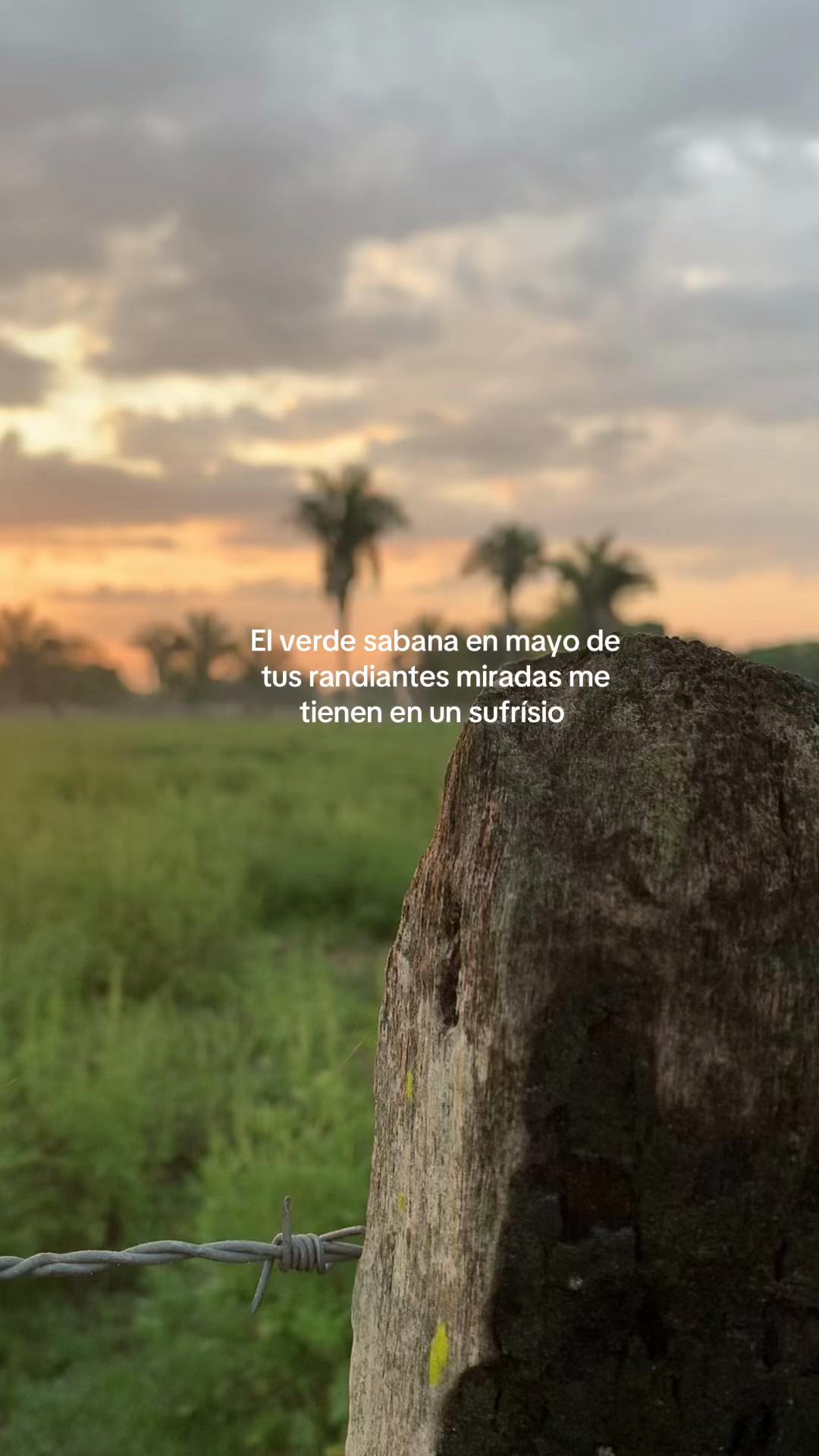 @wil  🤠
