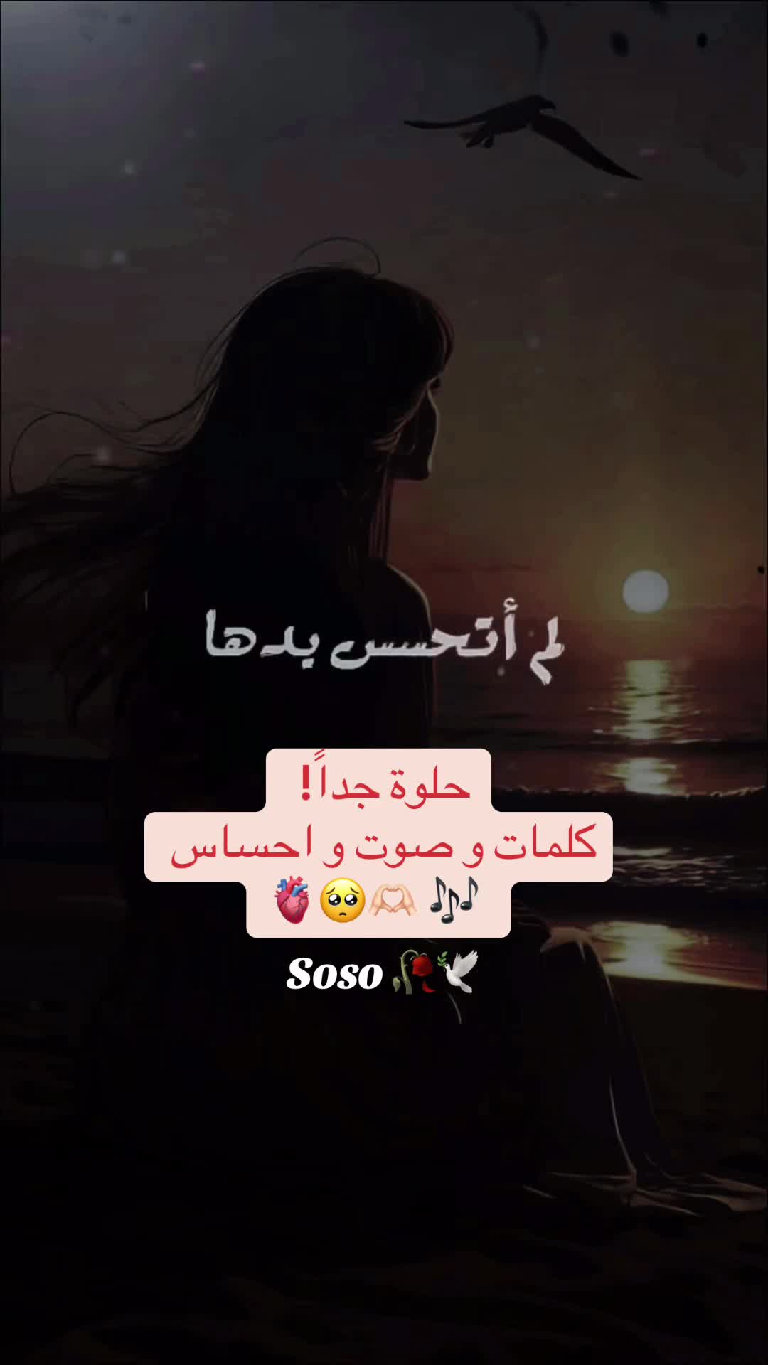 @༊෴✿ سوسو ✿〄࿐
