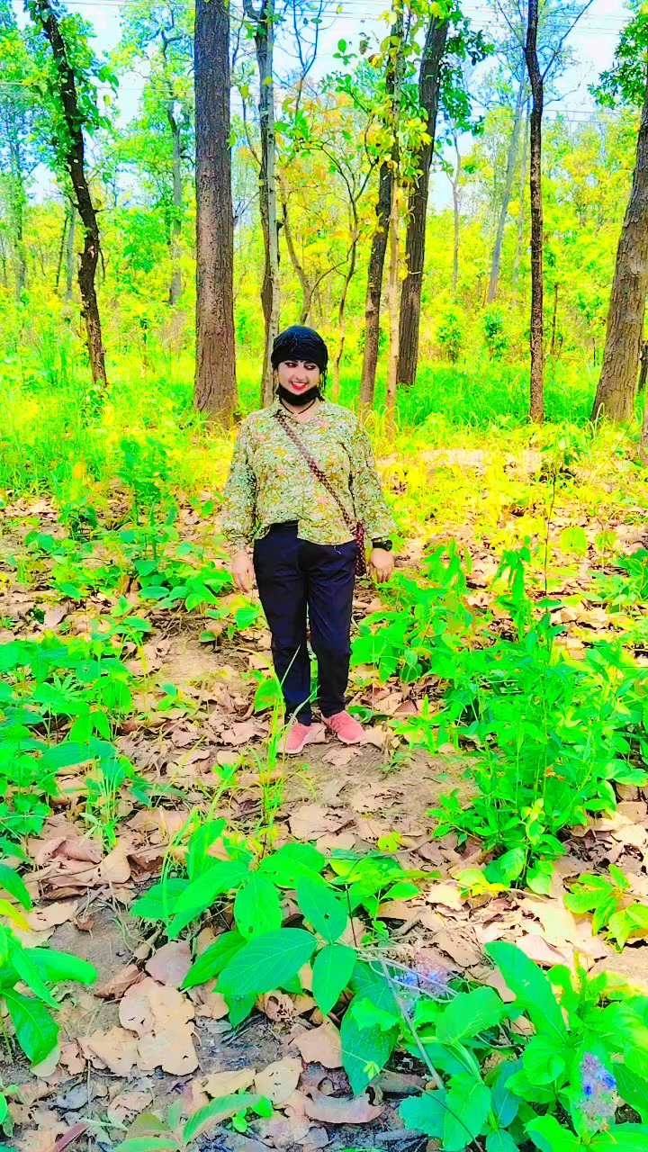 @sitaacharya268