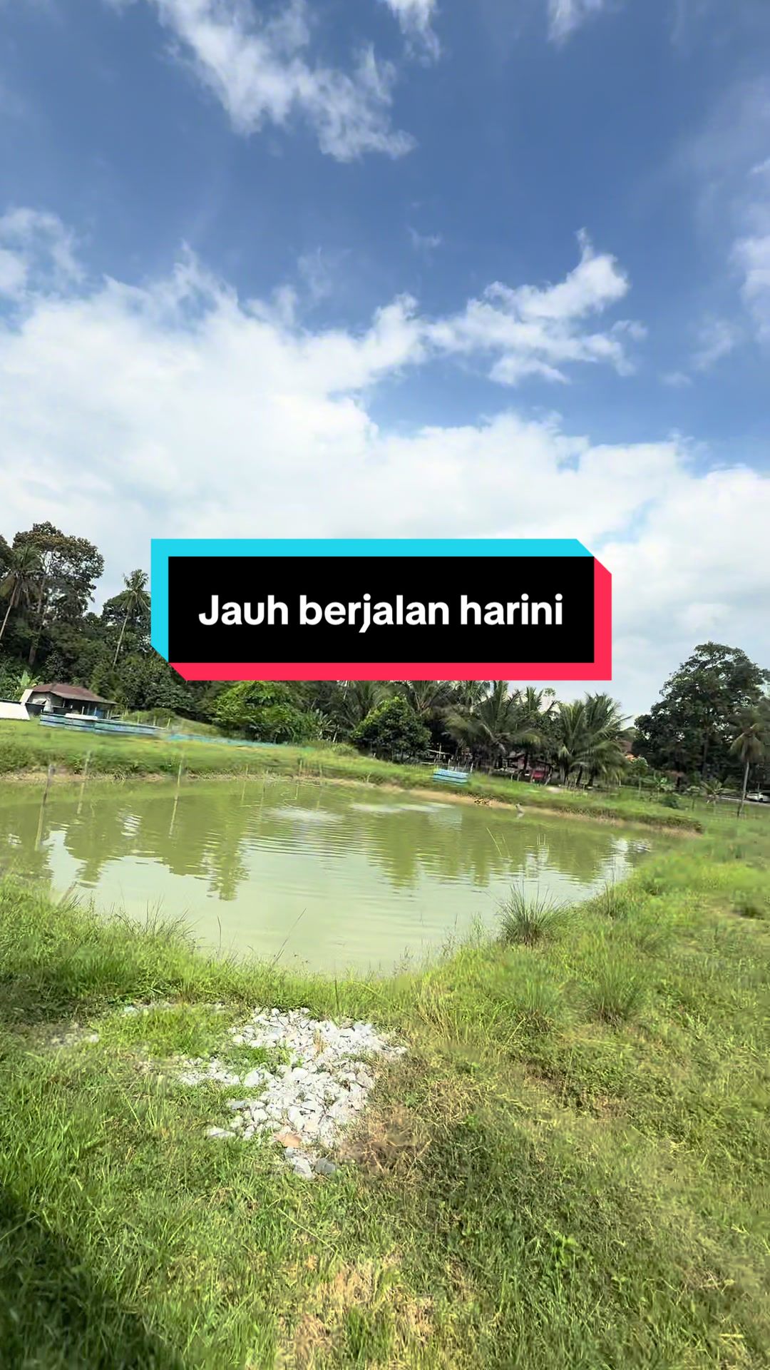@AB Agrofarm 588