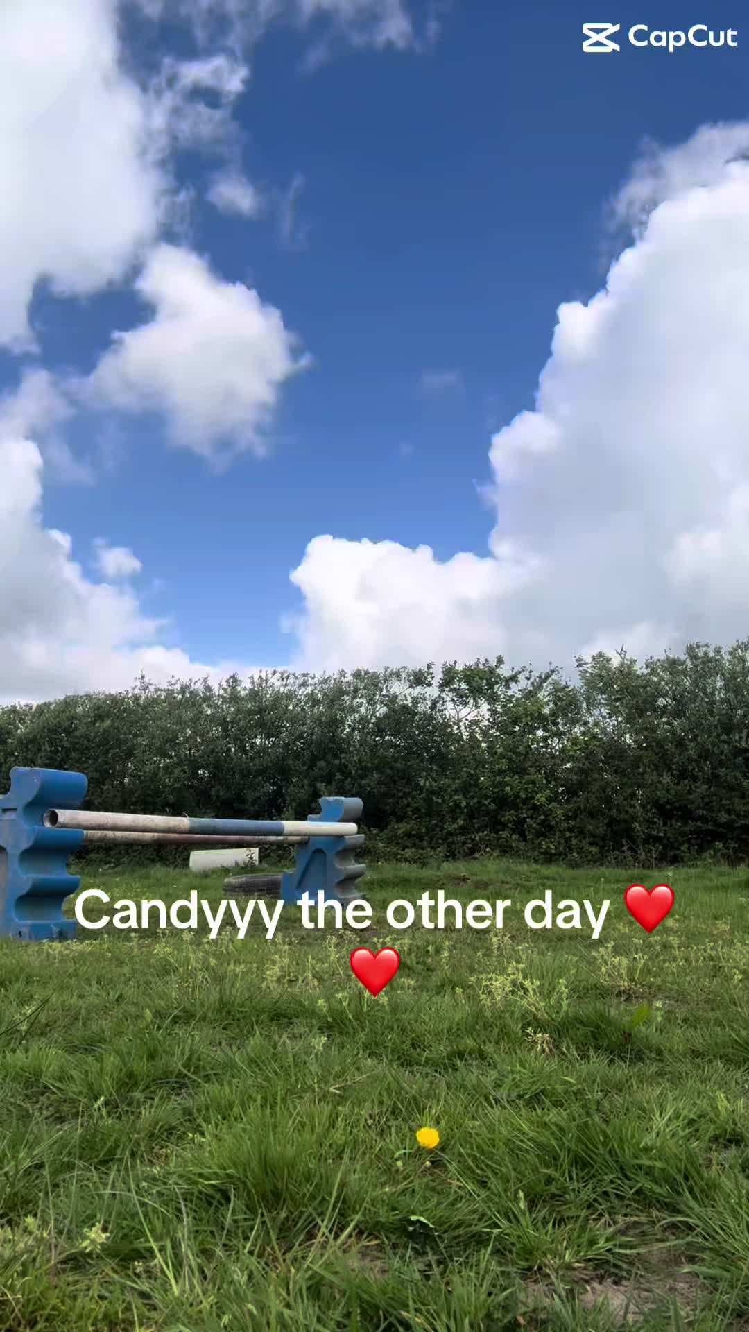 @lucy.candy5