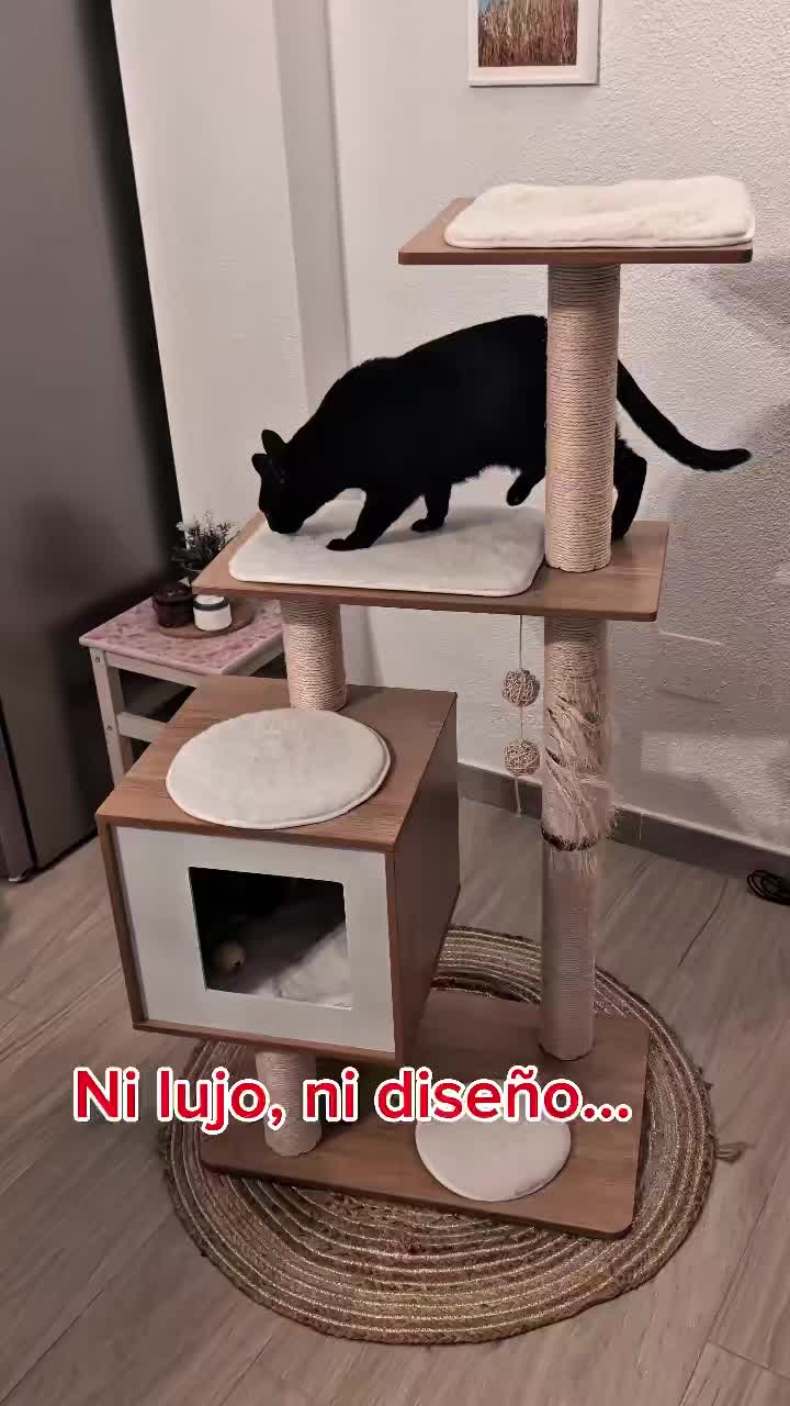 @AryaBlackCat13