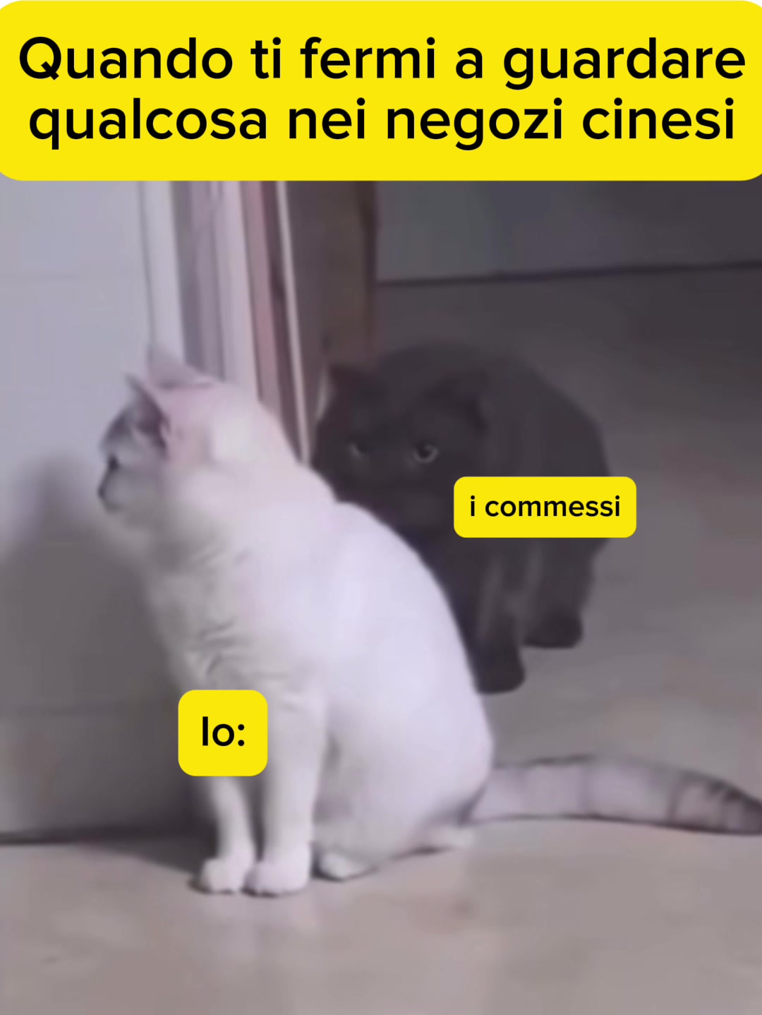 @Umberto Marasco