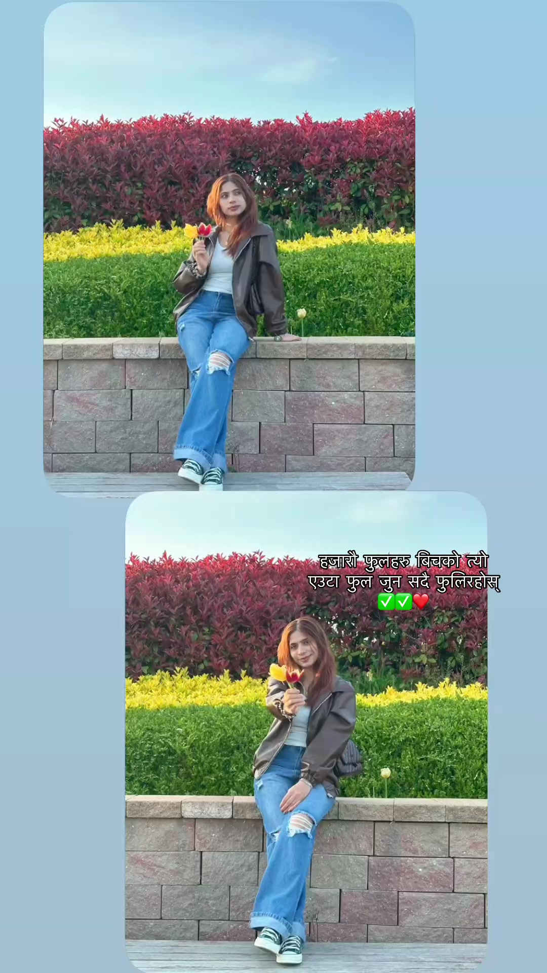 @Sital🕊️🌹