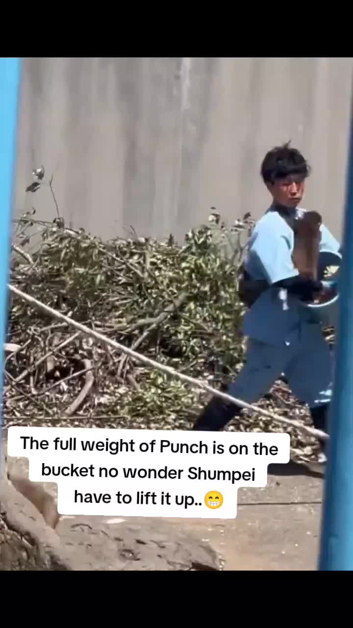 @Mochi/Rusty