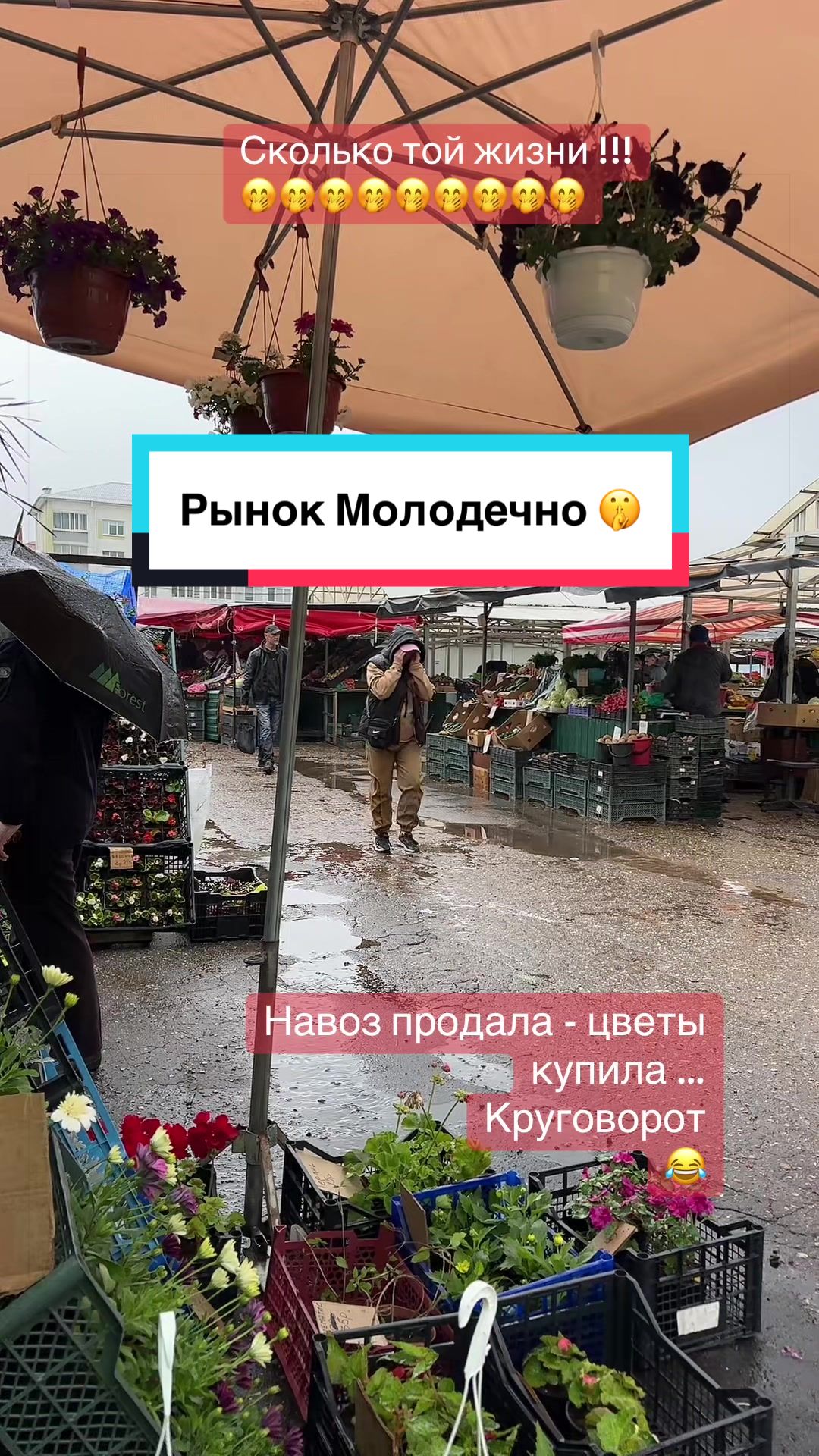 @Анастасия Чернявская.