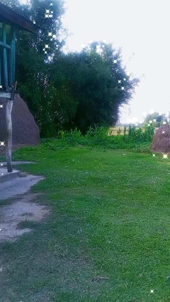 @Jhuma Khatiwada