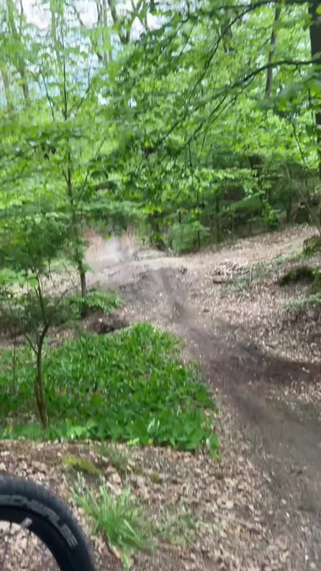 @🌲Freeride_Finn🌲