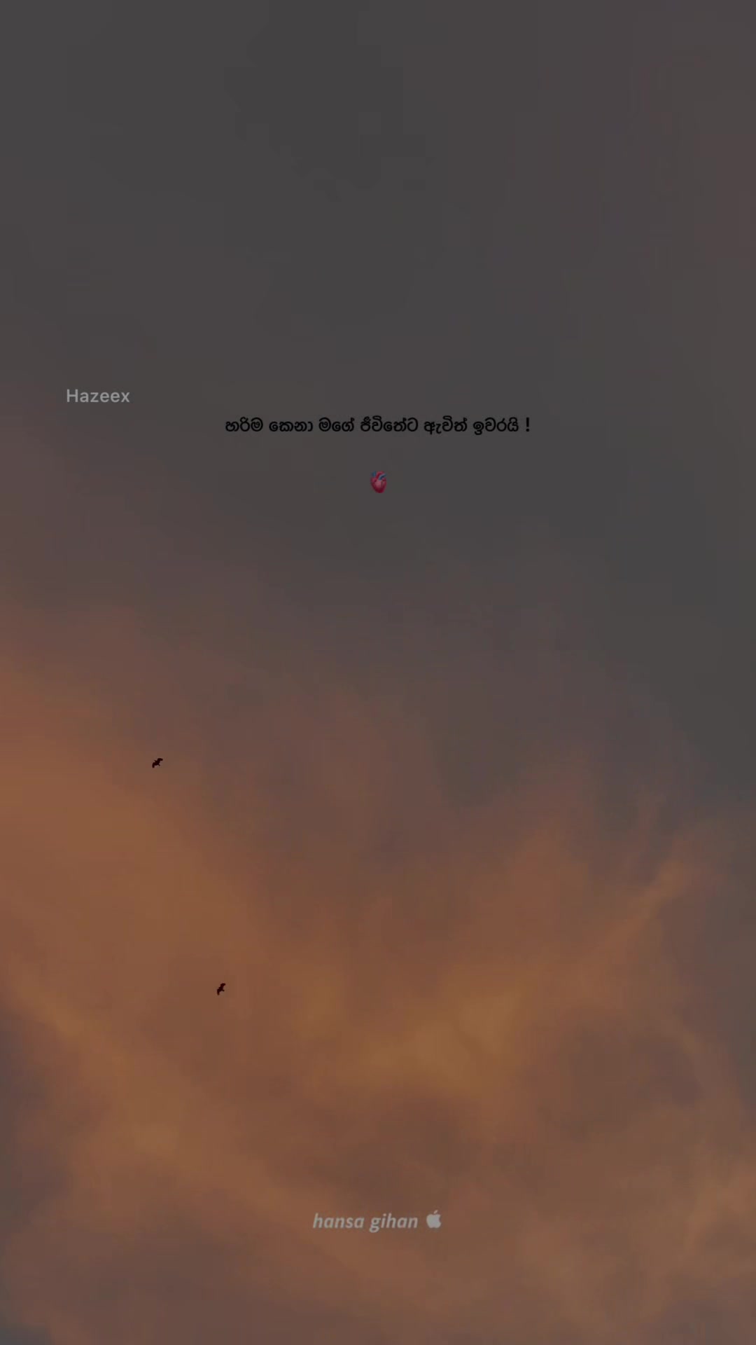 @𝗛𝗮𝗻𝘀𝗮 🕊