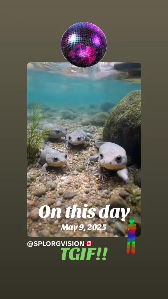 @SPLORGVISION🇨🇦 ❌