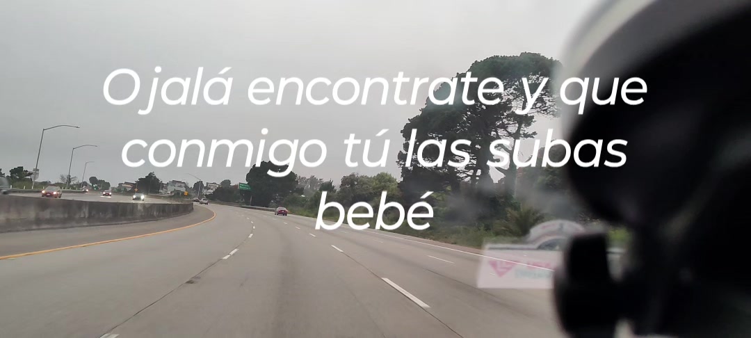 @🦓chimichurris👼✅