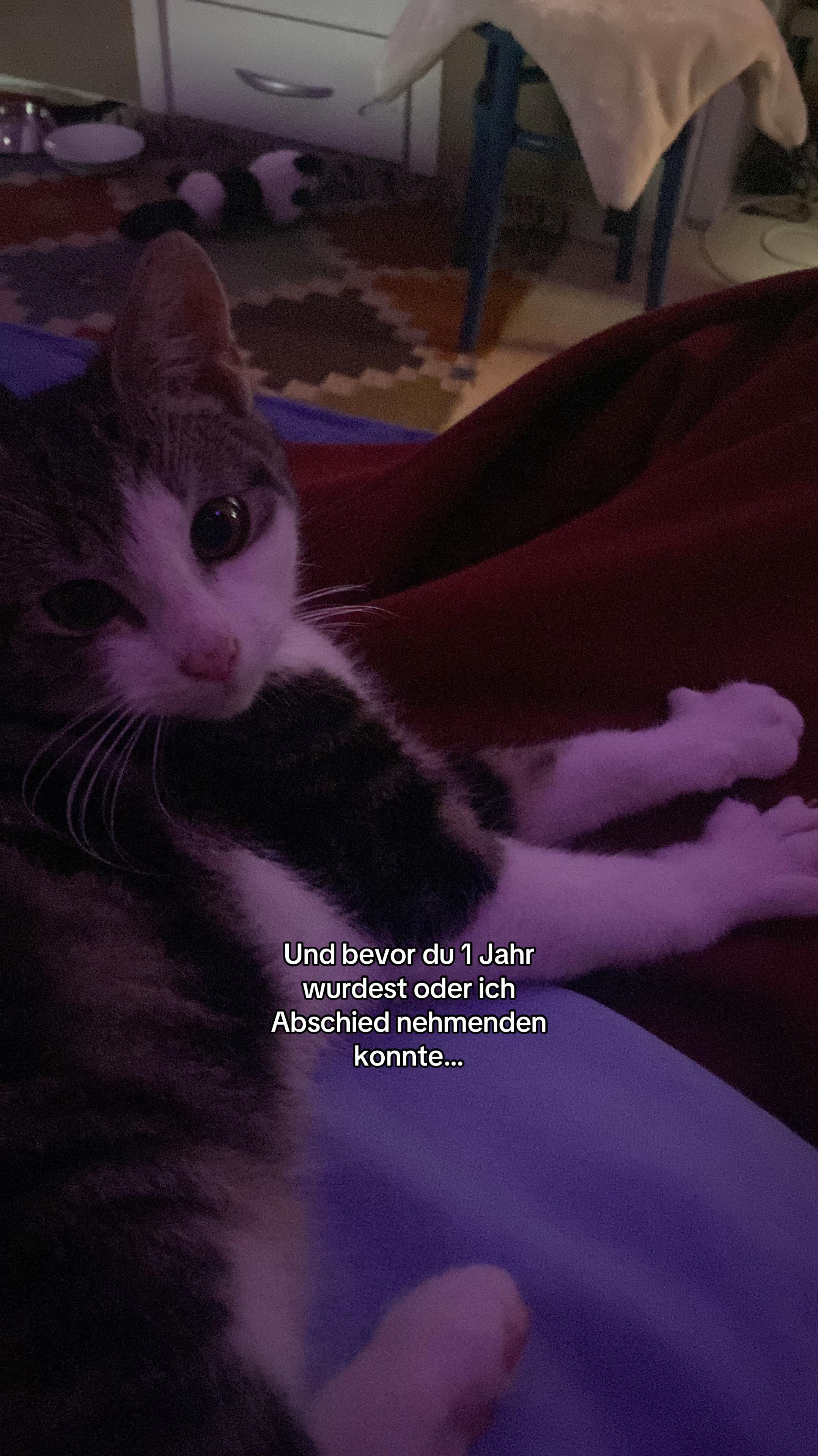 @leni_und_so2