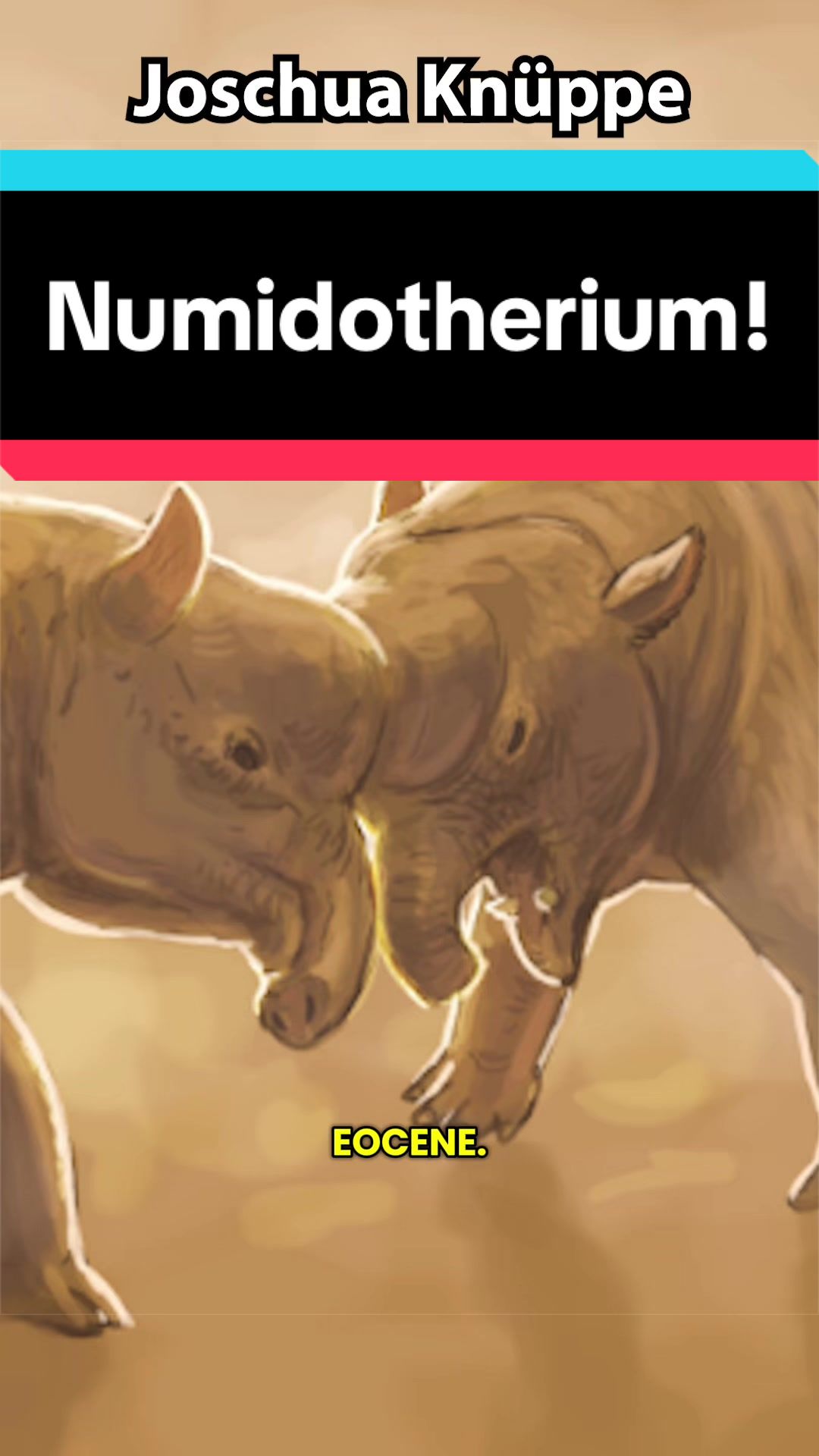 @Dino Guy