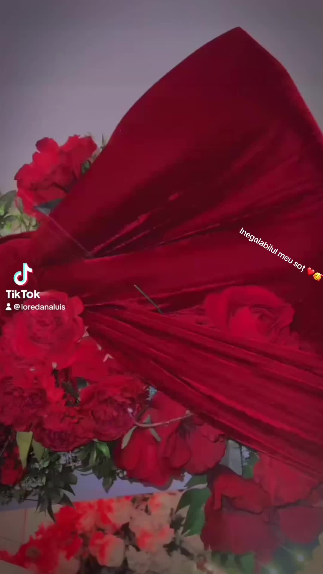 @loredanaluis