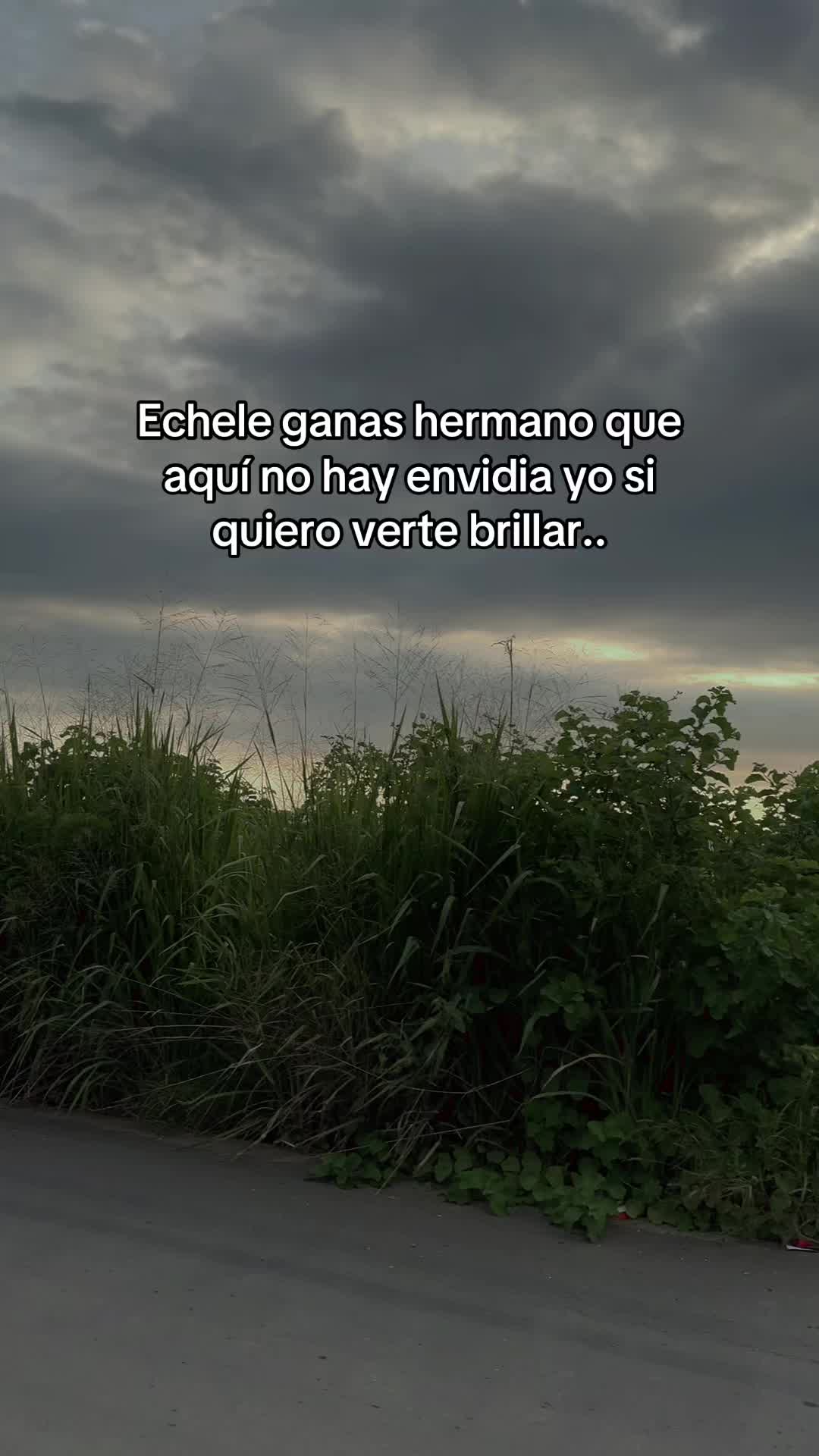 @Dmotivaci&oacute;n