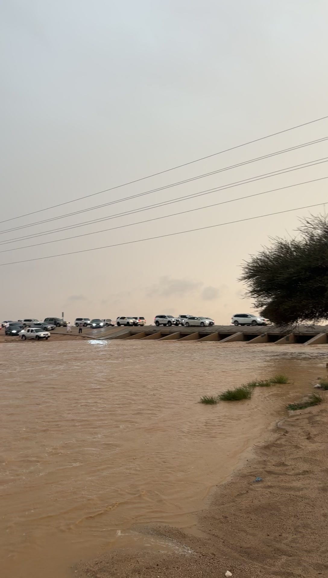 @رحـــال