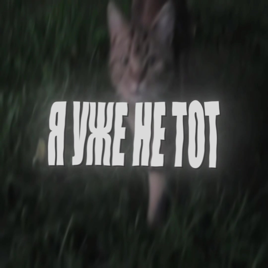 @динзик🤍| ディン