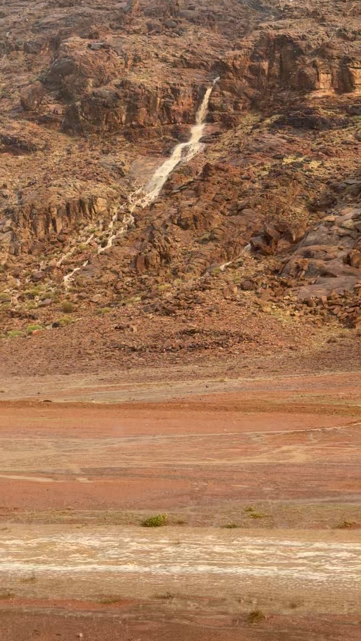 @مرشدة  بحائل  guide in hail